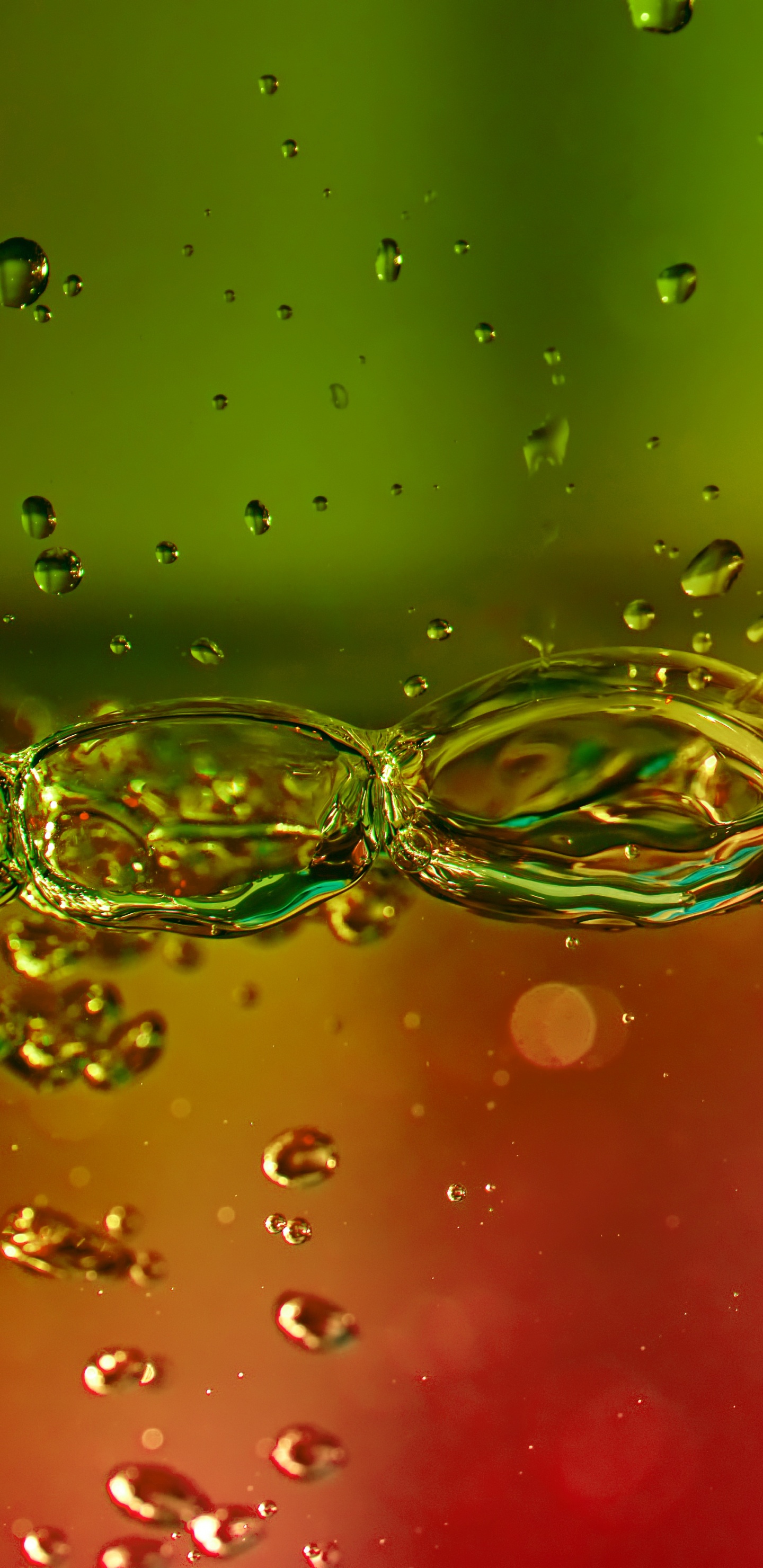 Water, Green, Drop, Liquid, Red. Wallpaper in 1440x2960 Resolution