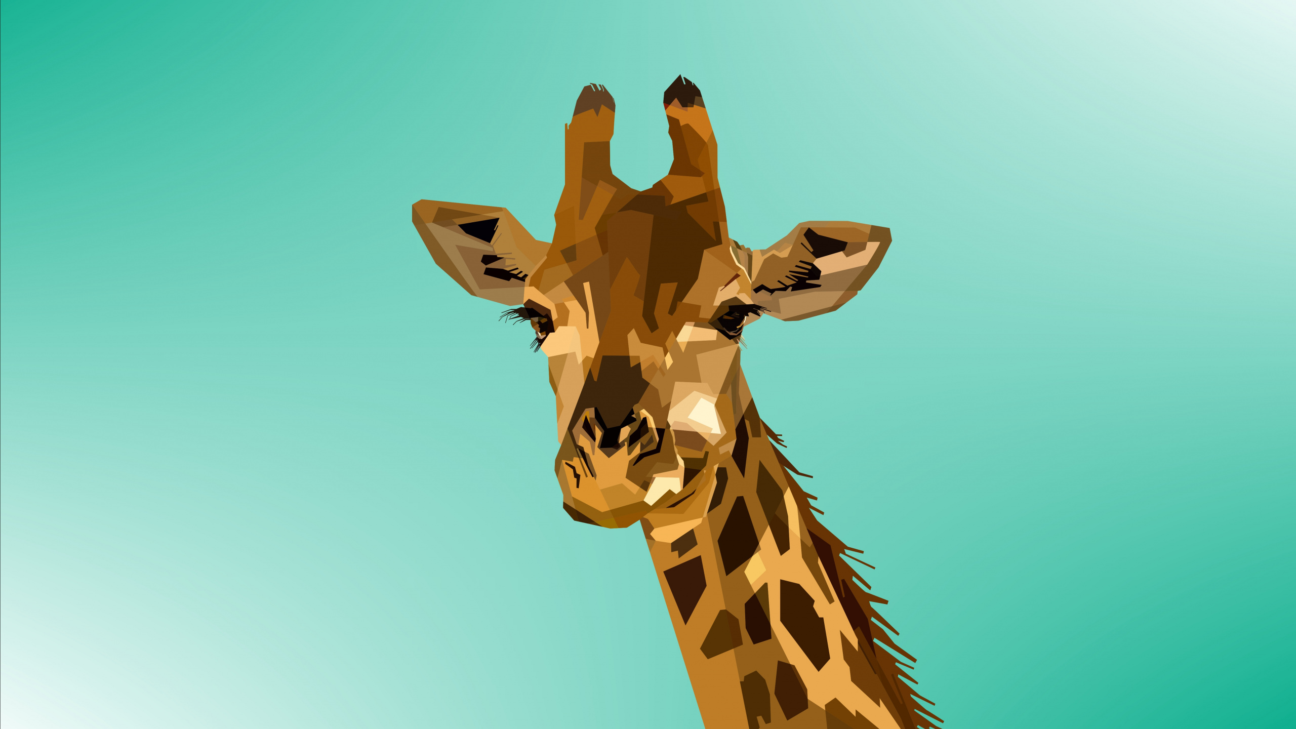 Girafe Sous Ciel Bleu Pendant la Journée. Wallpaper in 2560x1440 Resolution