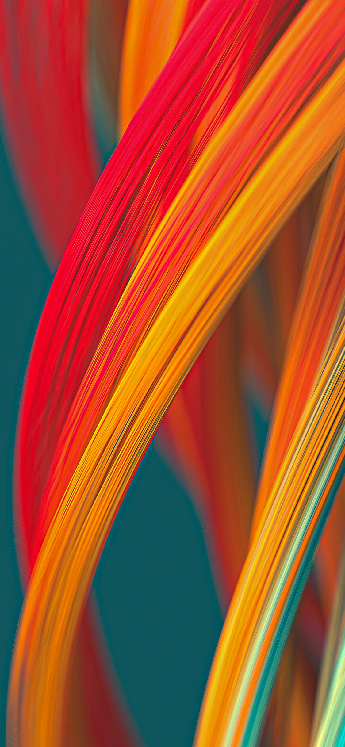 Naranja, Planta Terrestre, Tintes y Matices, Patrón, Melocotón. Wallpaper in 1125x2436 Resolution