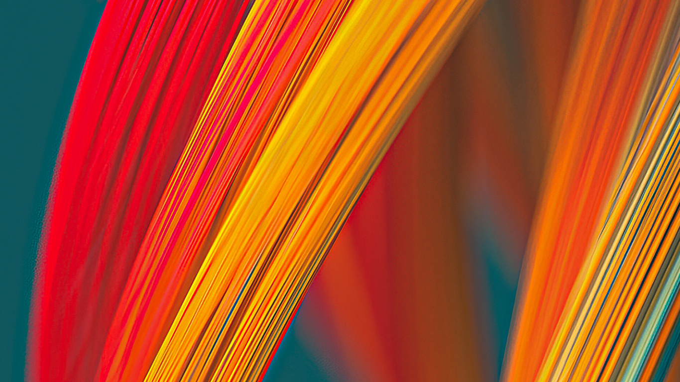 Orange, Colorfulness, Plant, Terrestrial Plant, Electric Blue. Wallpaper in 1366x768 Resolution