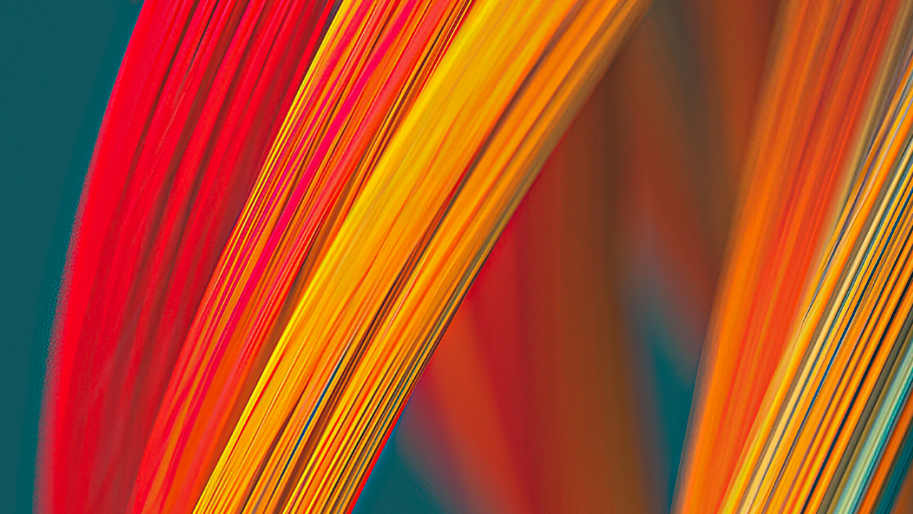 Orange, Farbigkeit, Terrestrische Pflanzen, Electric Blue, Farbtöne Und Schattierungen. Wallpaper in 1280x720 Resolution