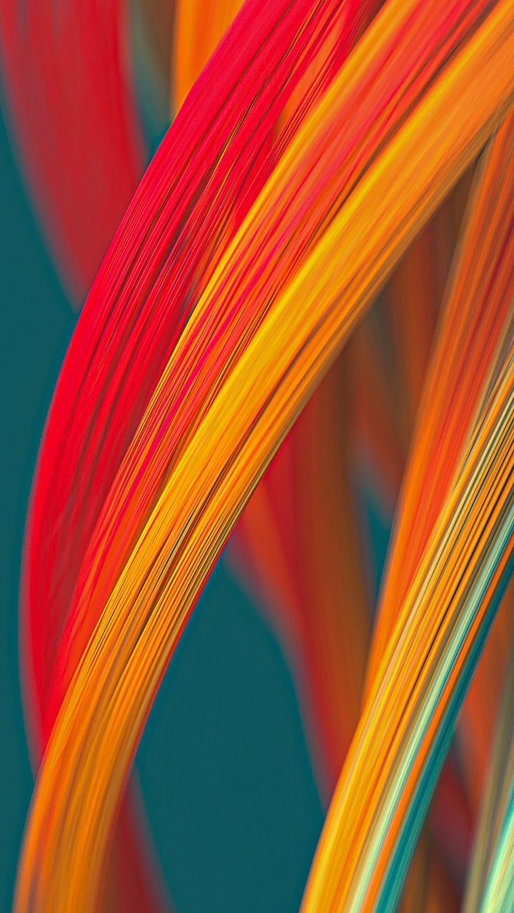 Orange, Farbigkeit, Terrestrische Pflanzen, Electric Blue, Farbtöne Und Schattierungen. Wallpaper in 720x1280 Resolution