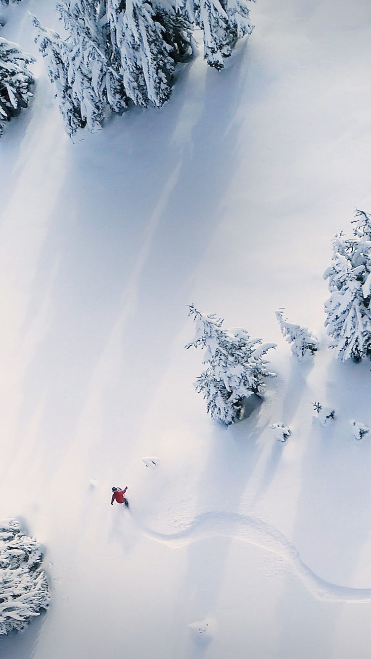 华硕, Asus ZenFone, Asus ZenFone 6, 华硕zenfone 7, 华硕Zenfone 2 ZE551ML 壁纸 750x1334 允许