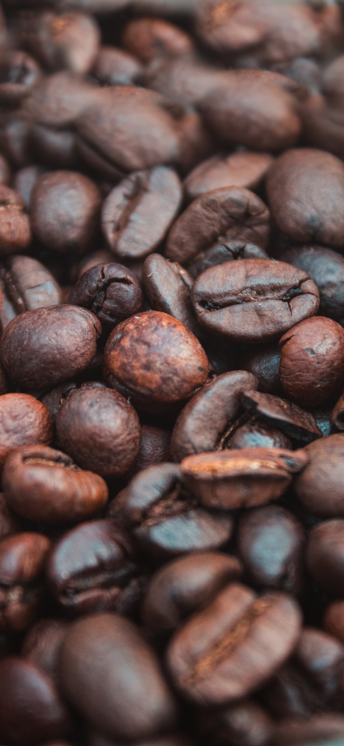 Brown Coffee Beans in Close up Photography. Wallpaper in 1125x2436 Resolution