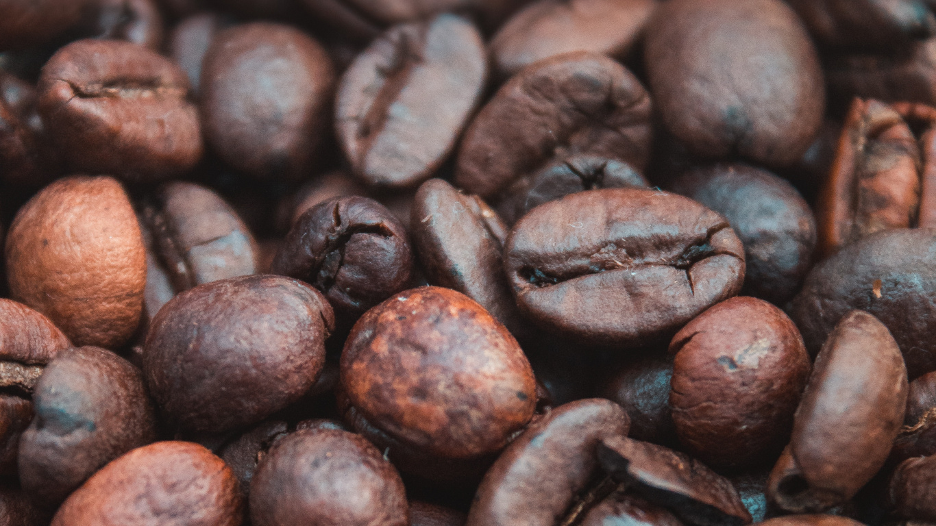 Brown Coffee Beans in Close up Photography. Wallpaper in 1366x768 Resolution