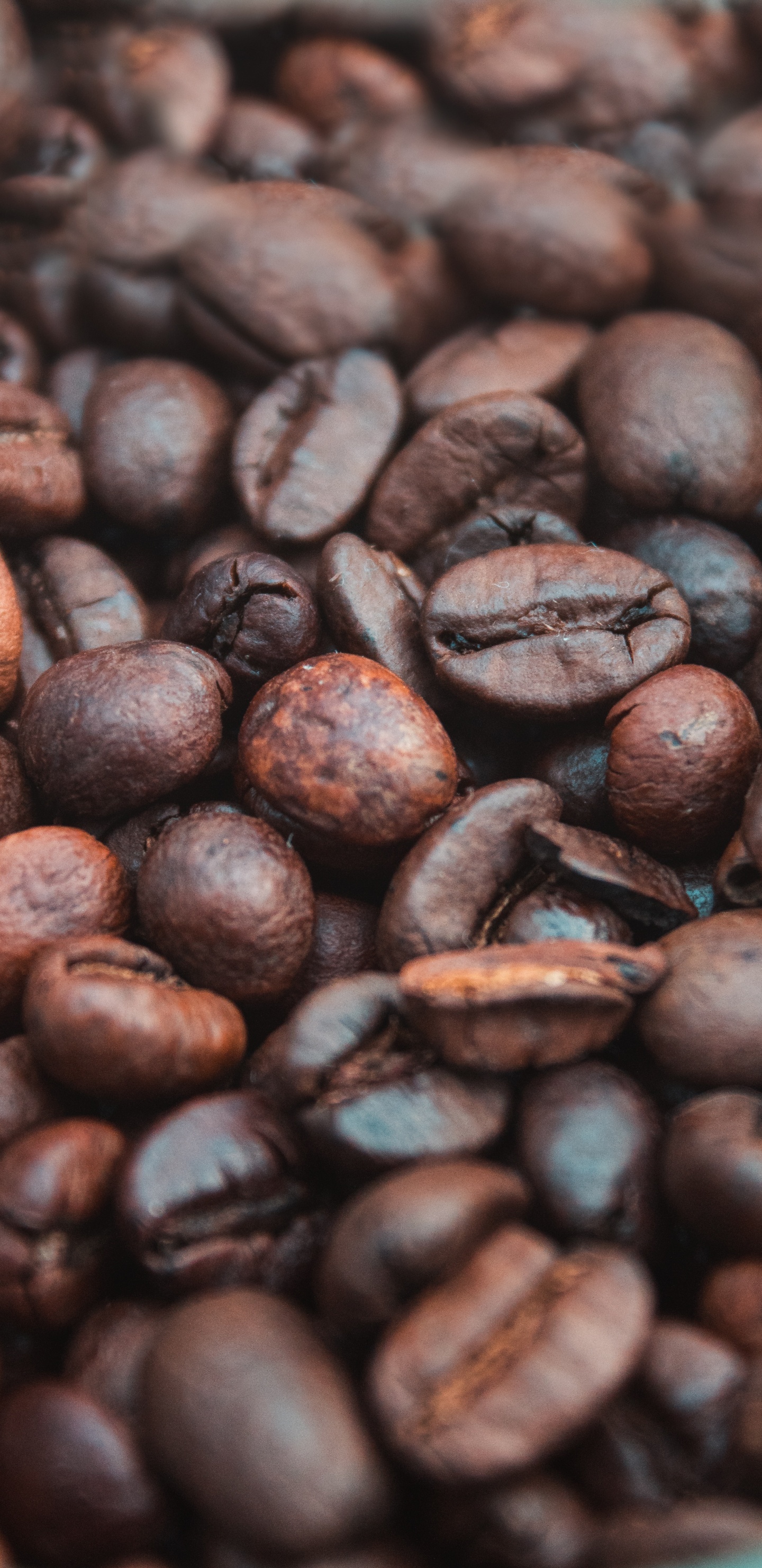 Brown Coffee Beans in Close up Photography. Wallpaper in 1440x2960 Resolution
