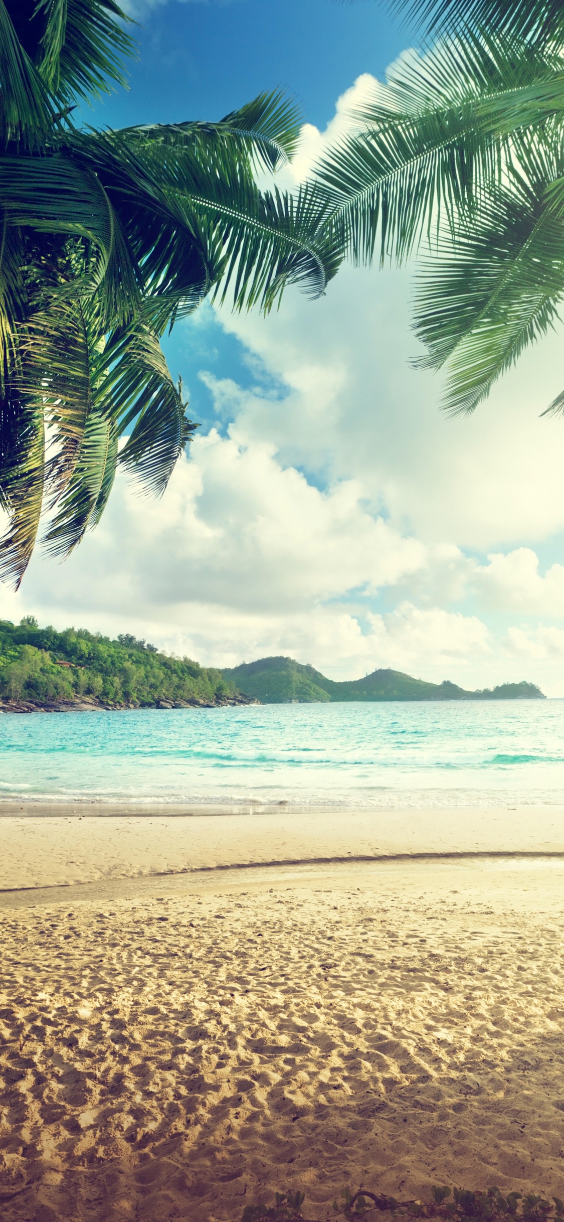 人体内的水, 天空, 热带地区, 岸边, 大海 壁纸 1125x2436 允许