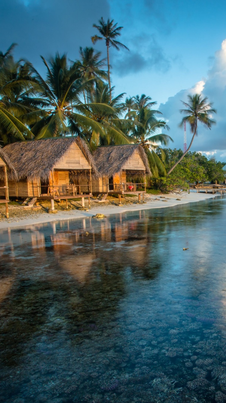 Brown Wooden House Near Palm Trees and Body of Water During Daytime. Wallpaper in 720x1280 Resolution