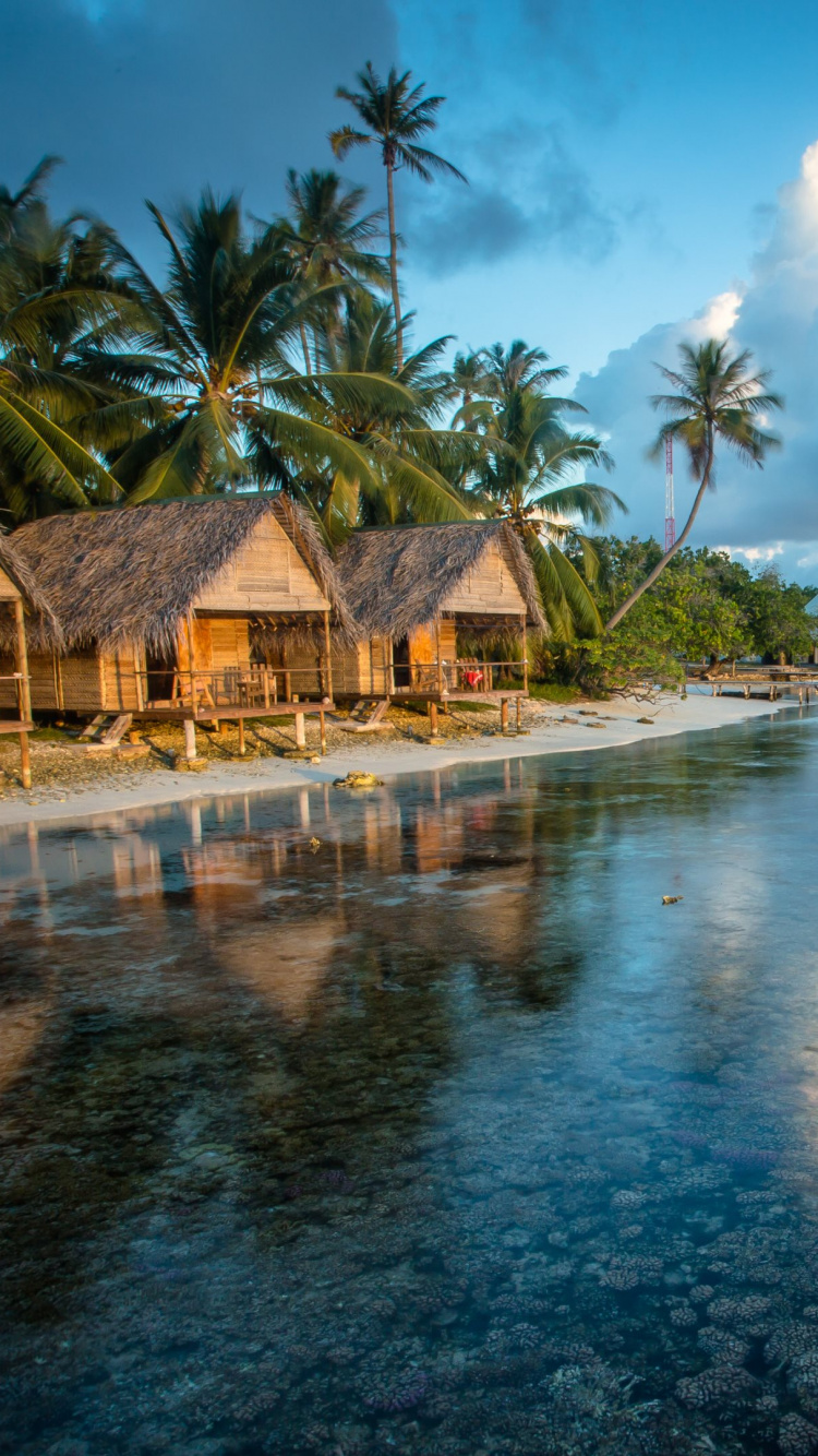 Brown Wooden House Near Palm Trees and Body of Water During Daytime. Wallpaper in 750x1334 Resolution