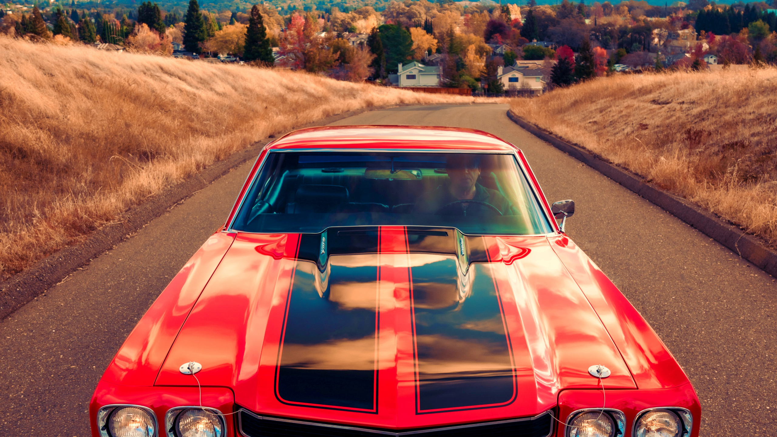 Chevrolet Camaro, Chevrolet Chevelle, de Voiture de Muscle, Voiture de Collection, Ford Mustang. Wallpaper in 2560x1440 Resolution
