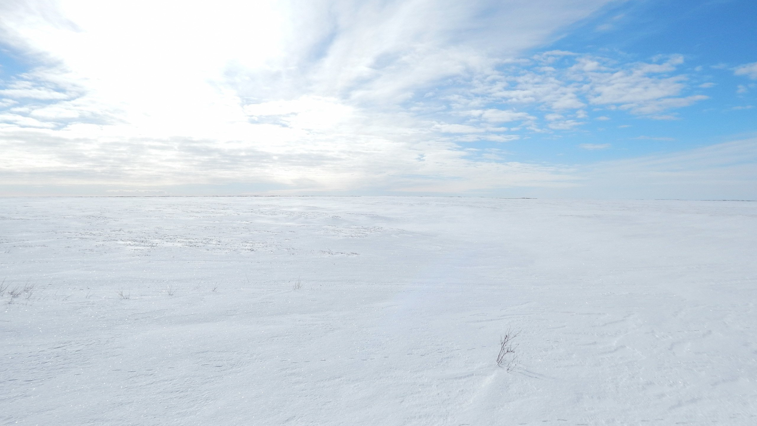 White Snow Covered Field Under Blue and White Cloudy Sky During Daytime. Wallpaper in 2560x1440 Resolution