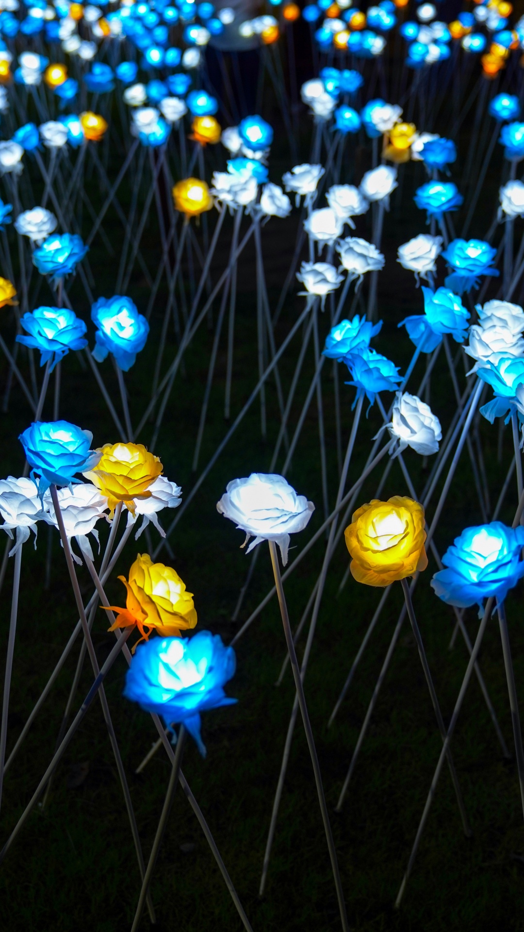 Blaue Und Gelbe Blüten Mit Grünen Blättern. Wallpaper in 1080x1920 Resolution