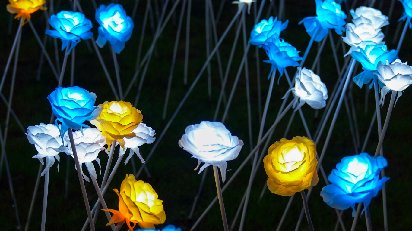 Blue and Yellow Flowers With Green Leaves. Wallpaper in 1366x768 Resolution