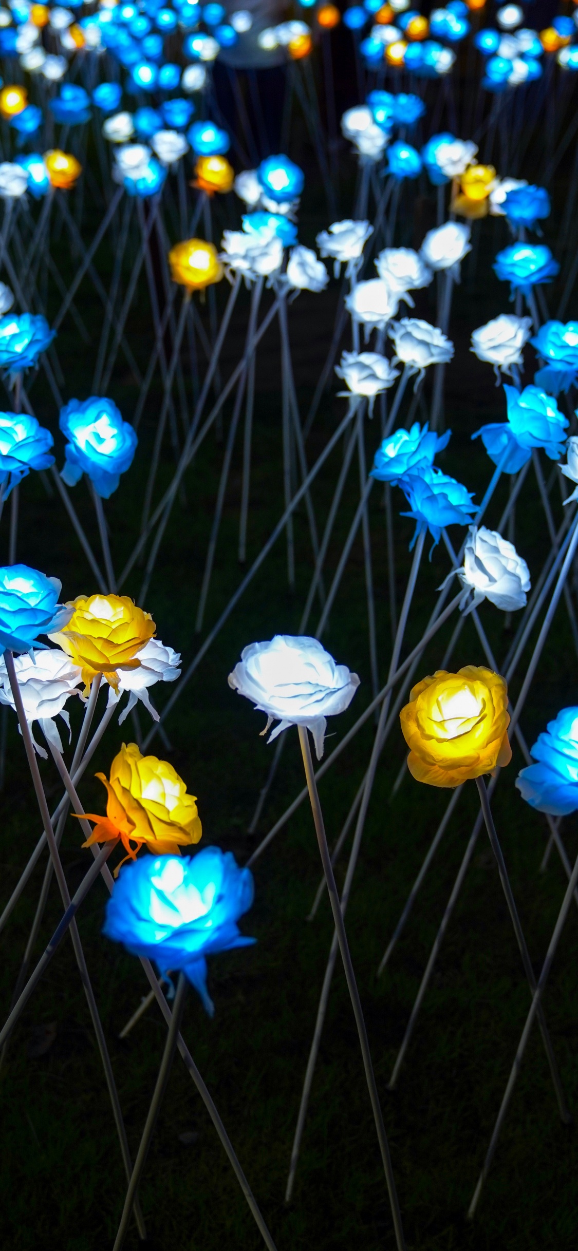 Fleurs Bleues et Jaunes Avec Des Feuilles Vertes. Wallpaper in 1125x2436 Resolution