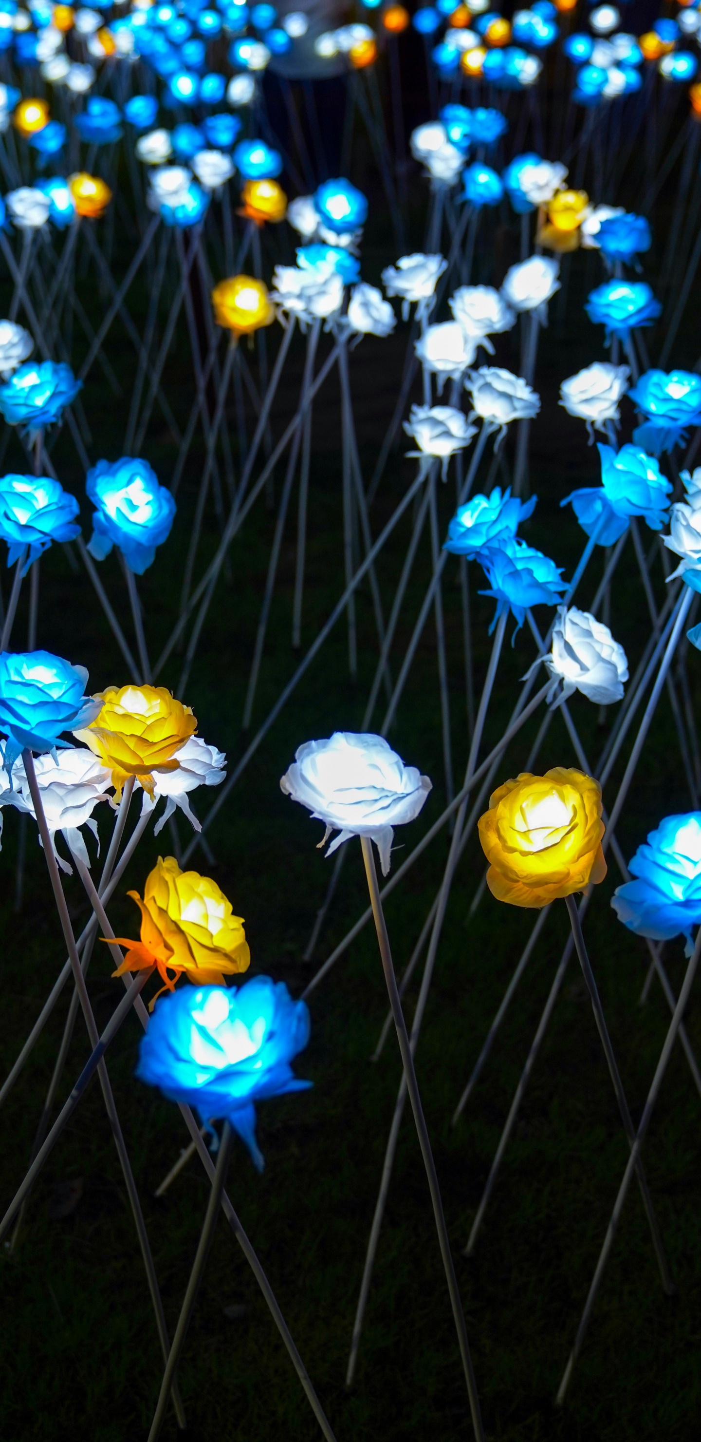 Fleurs Bleues et Jaunes Avec Des Feuilles Vertes. Wallpaper in 1440x2960 Resolution