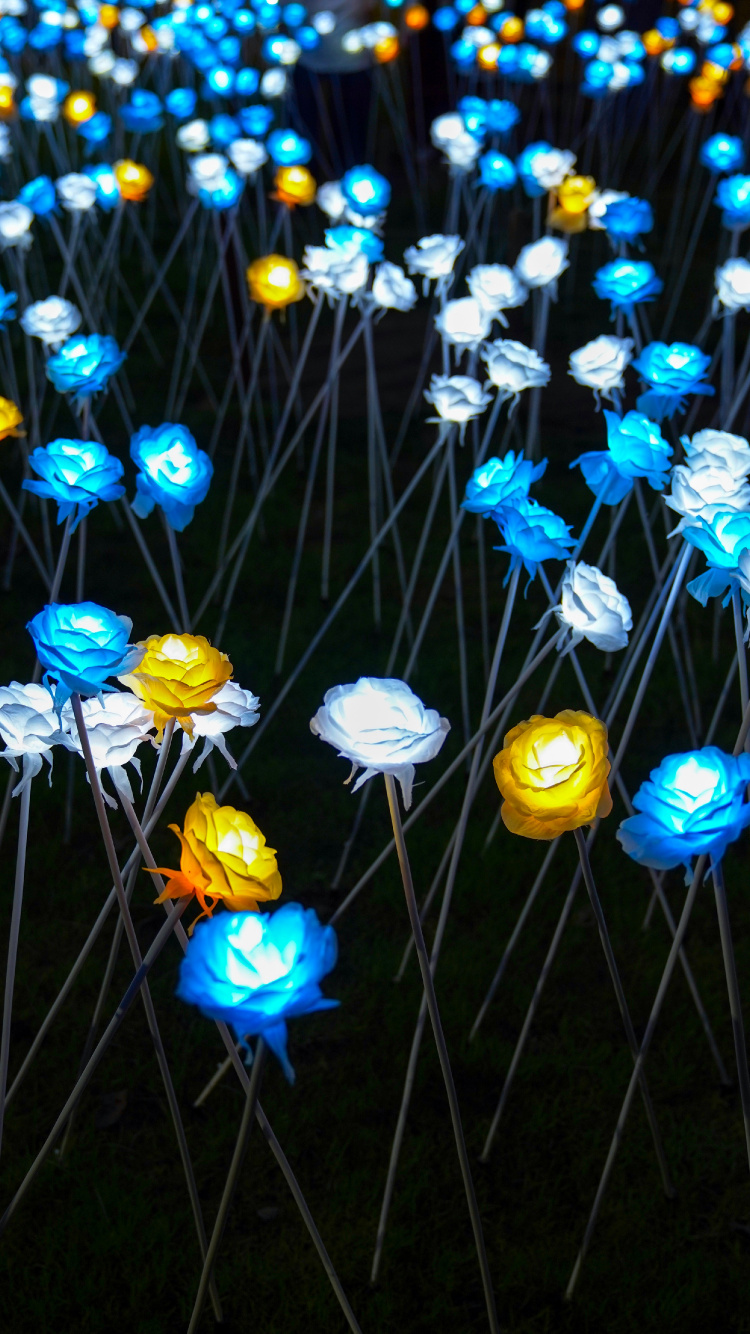 Fleurs Bleues et Jaunes Avec Des Feuilles Vertes. Wallpaper in 750x1334 Resolution