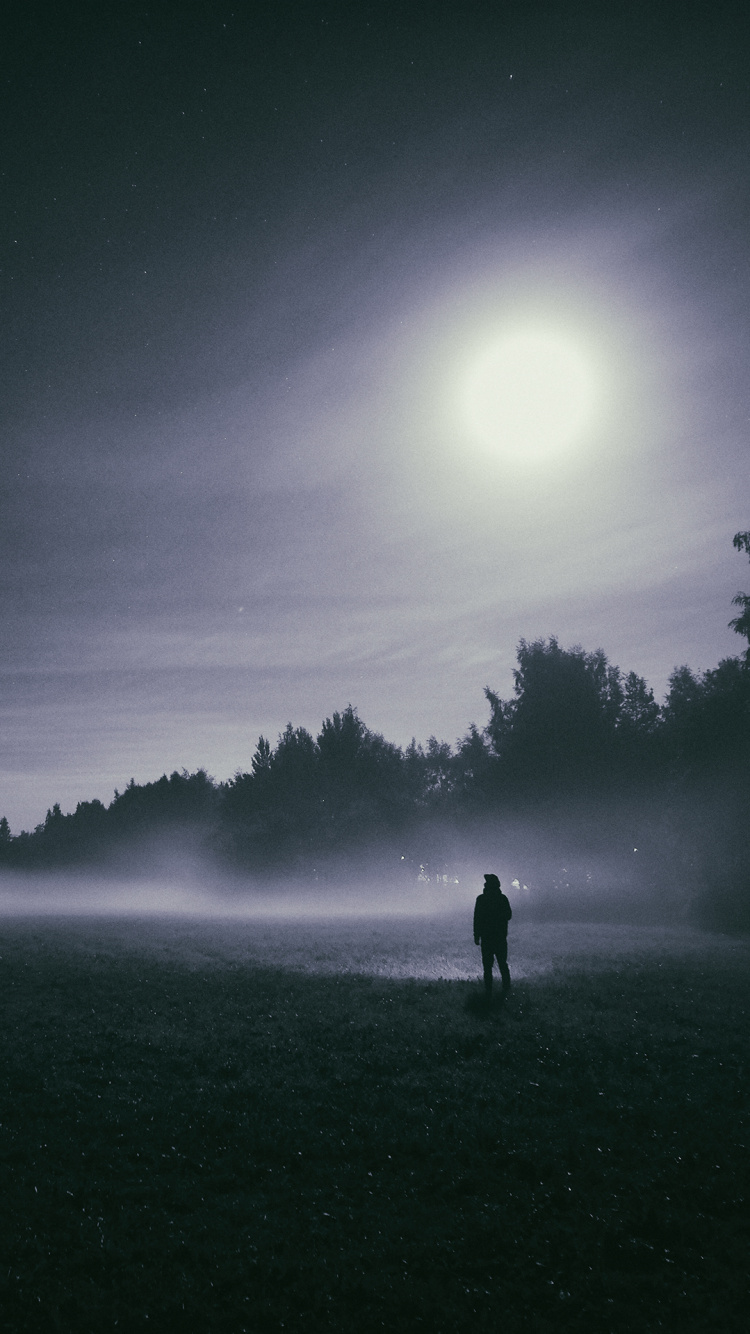 Vollmond, Mond, Natur, Atmosphäre, Licht. Wallpaper in 750x1334 Resolution