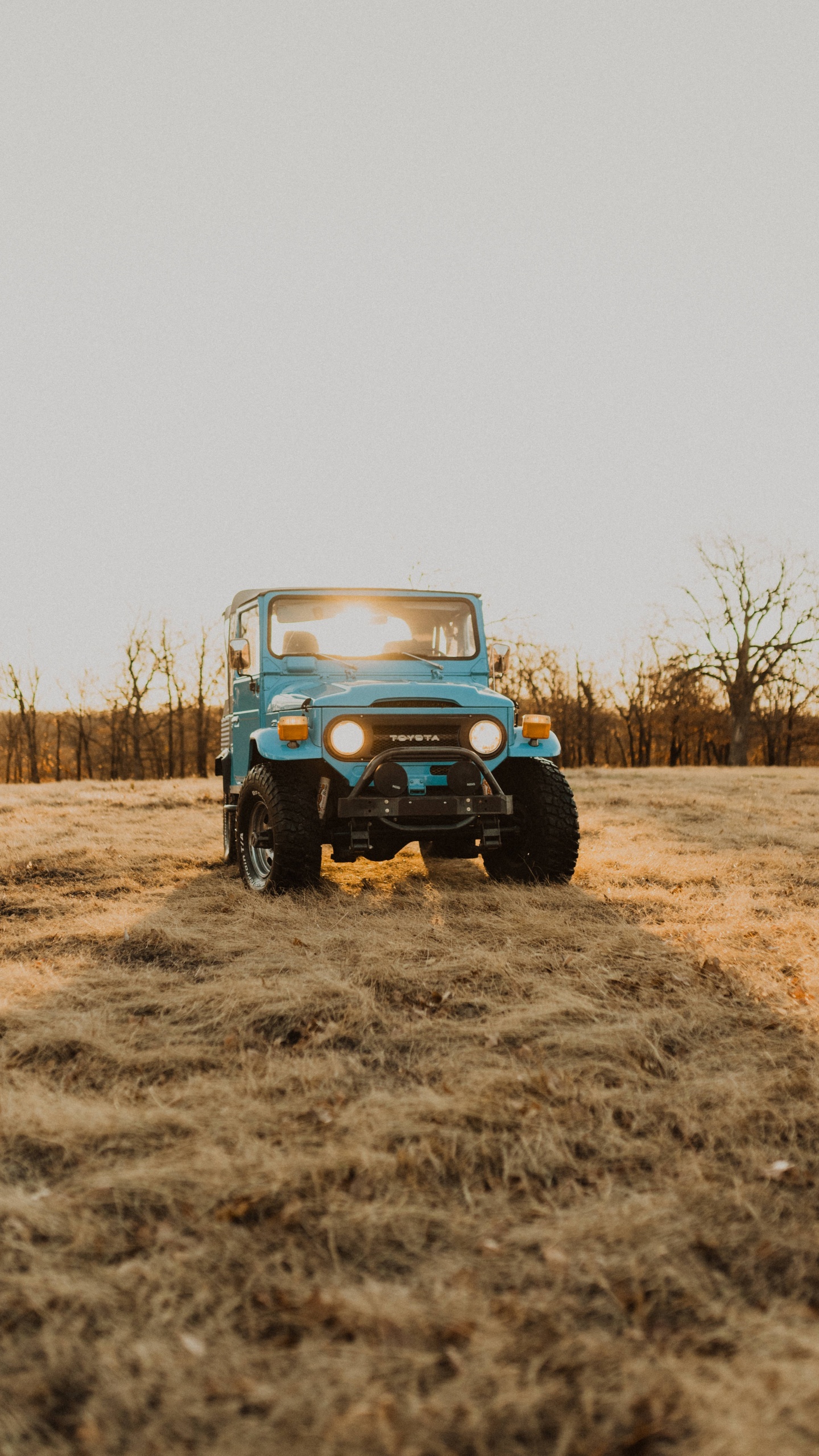 Jeep Wrangler Bleu et Blanc Sur Champ Brun Pendant la Journée. Wallpaper in 1440x2560 Resolution