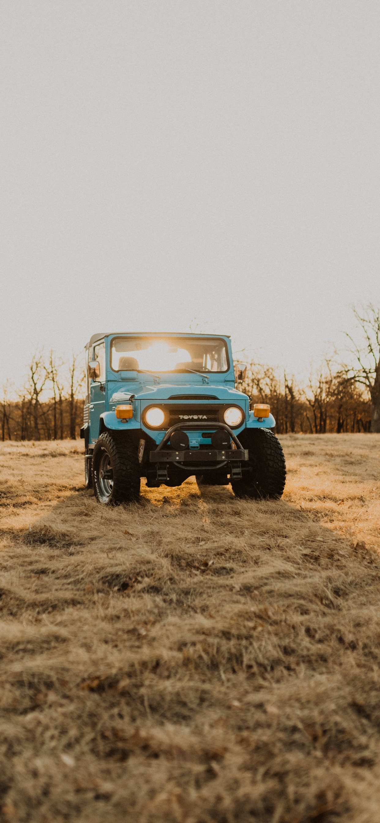 Blue and White Jeep Wrangler on Brown Field During Daytime. Wallpaper in 1242x2688 Resolution