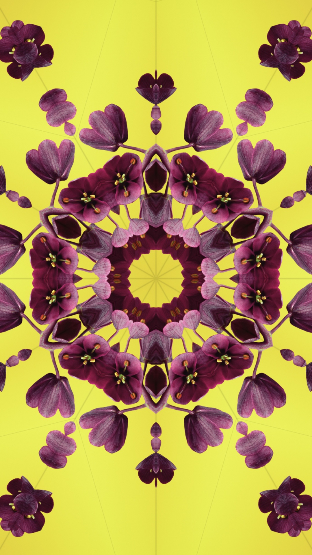 Ios 17, Petal, Apples, Operating System, Ios. Wallpaper in 1080x1920 Resolution