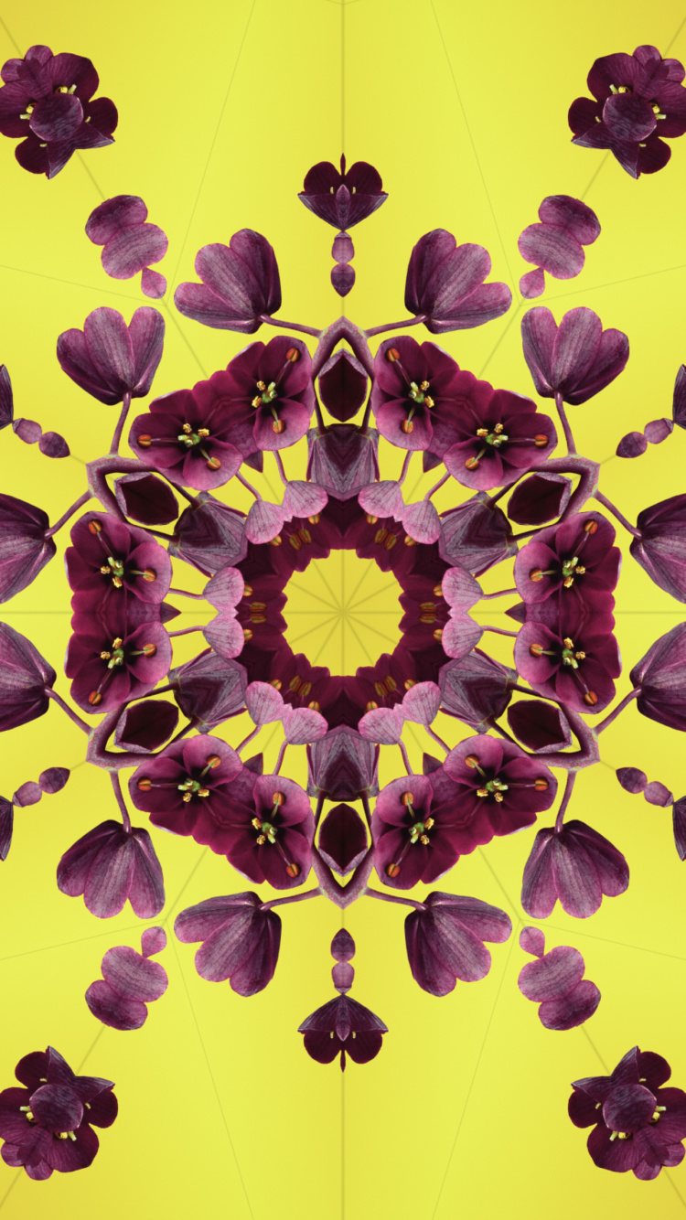 Ios 17, Petal, Apples, Operating System, Ios. Wallpaper in 750x1334 Resolution
