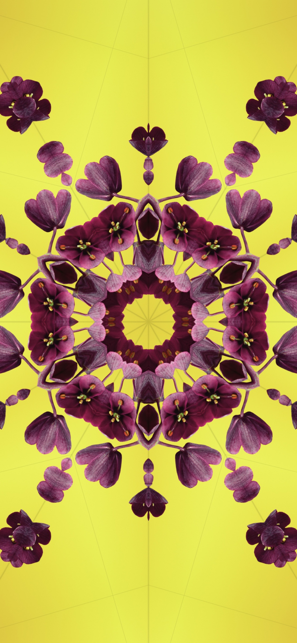 Ios 17, Pétalo, Manzana, Sistema Operativo, Ios. Wallpaper in 1125x2436 Resolution