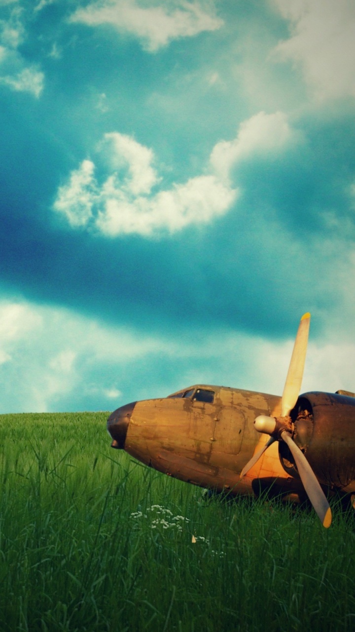 Green Grass Field Under Blue Sky and White Clouds During Daytime. Wallpaper in 720x1280 Resolution