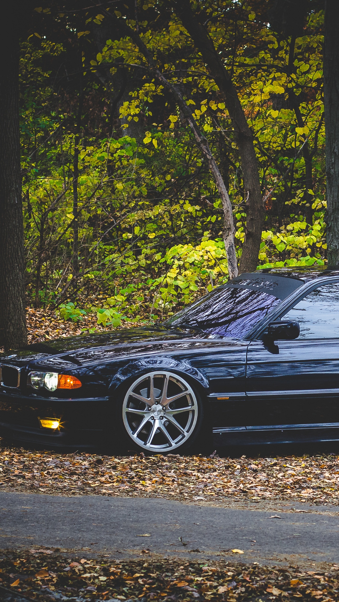 Cars, Bayerische Motoren Werke AG, Mid Size Car, Full Size Car, Sedan. Wallpaper in 1440x2560 Resolution