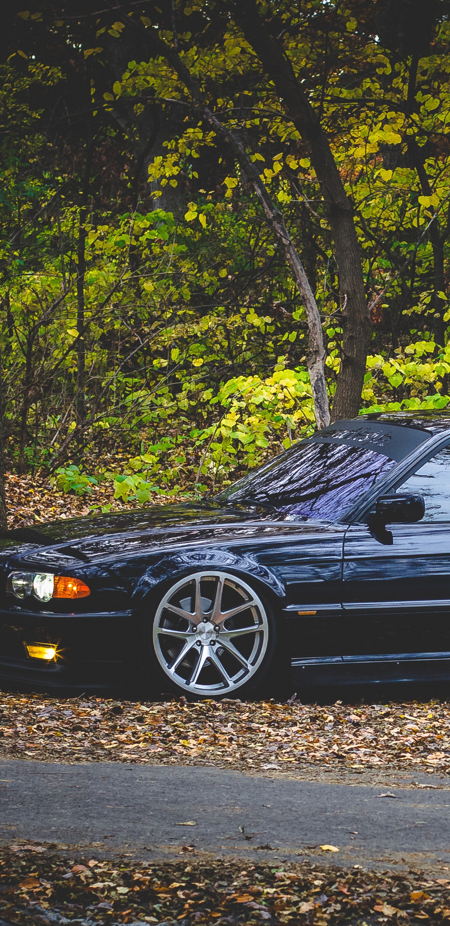 Cars, Bayerische Motoren Werke AG, Mid Size Car, Full Size Car, Sedan. Wallpaper in 1440x2960 Resolution