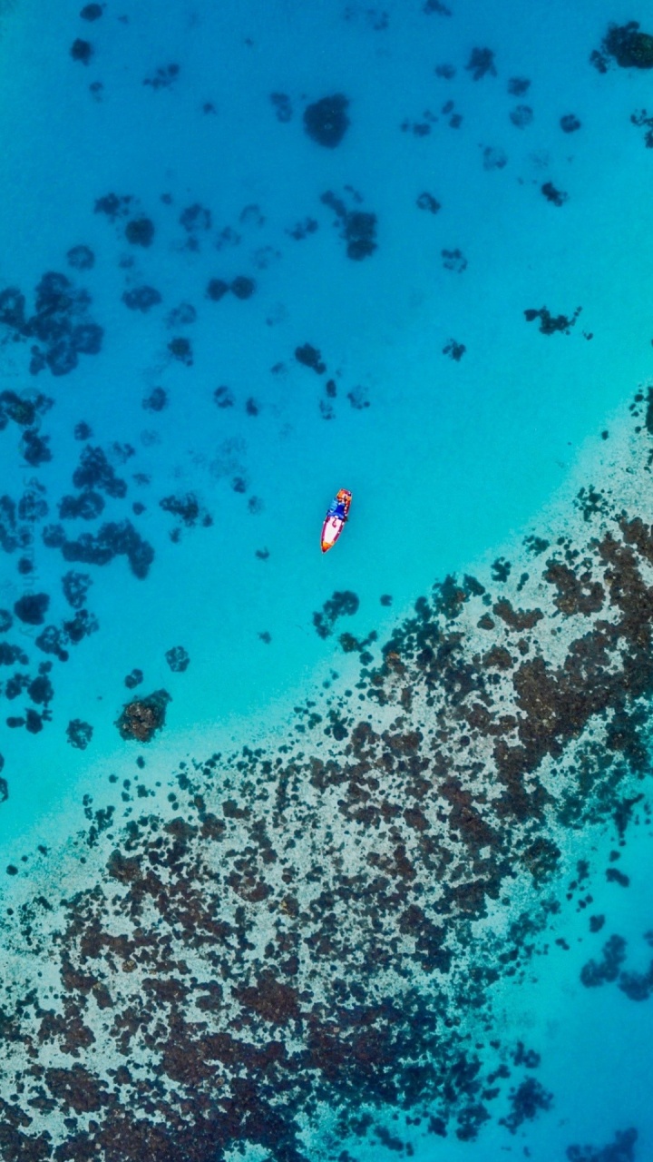 性质, 水下, Azure, 人体内的水, 海洋生物学 壁纸 720x1280 允许