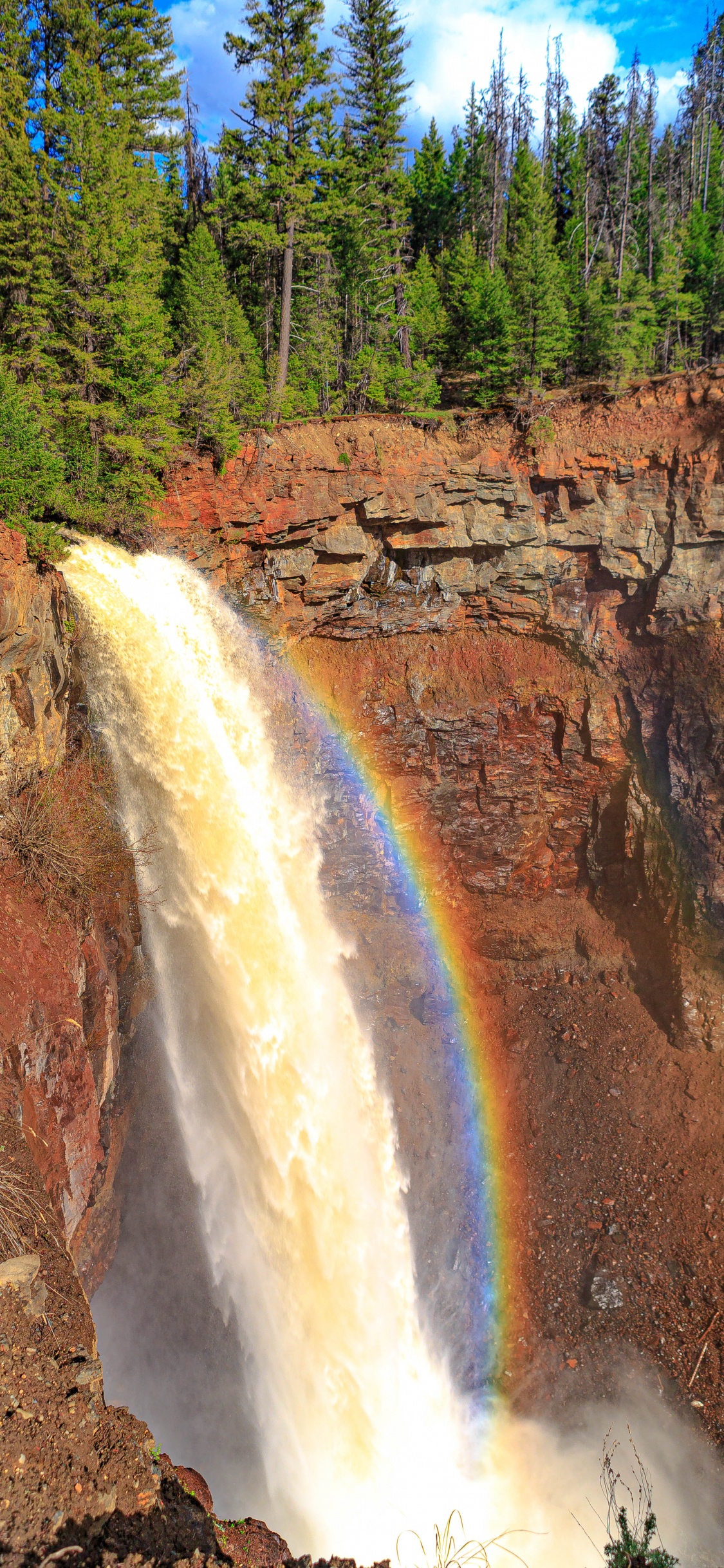 Cascade, Tablet, Rainbow, Eau, Paysage Naturel. Wallpaper in 1125x2436 Resolution