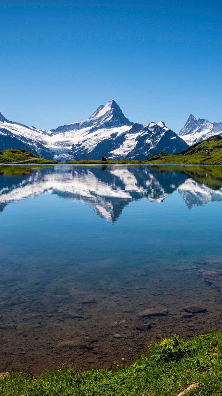 Grüne Wiese in Der Nähe Von See Und Bergen Unter Blauem Himmel Tagsüber. Wallpaper in 750x1334 Resolution