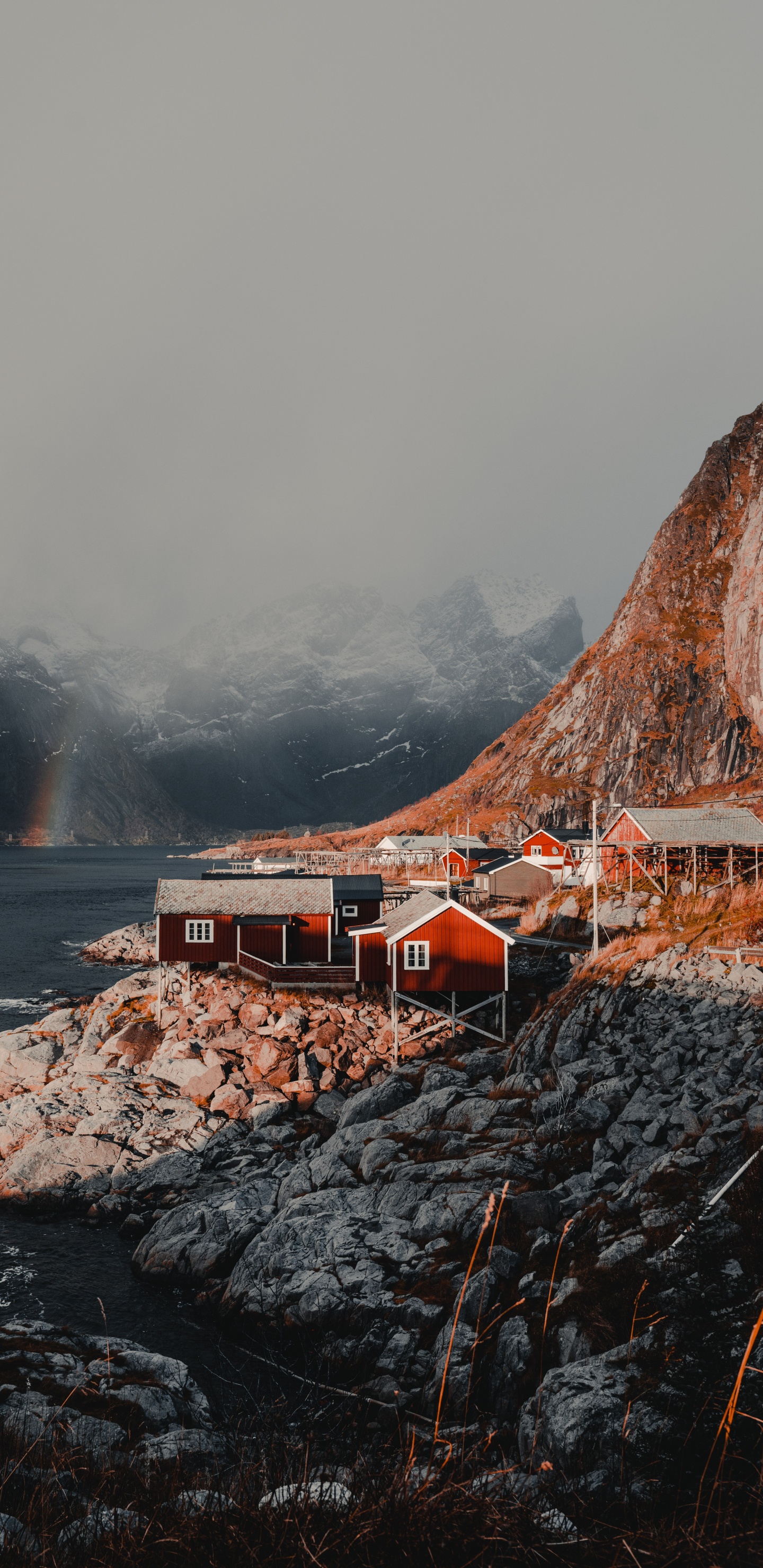 Les Îles Lofoten, Côte, Mer, Falaise, Fjord. Wallpaper in 1440x2960 Resolution