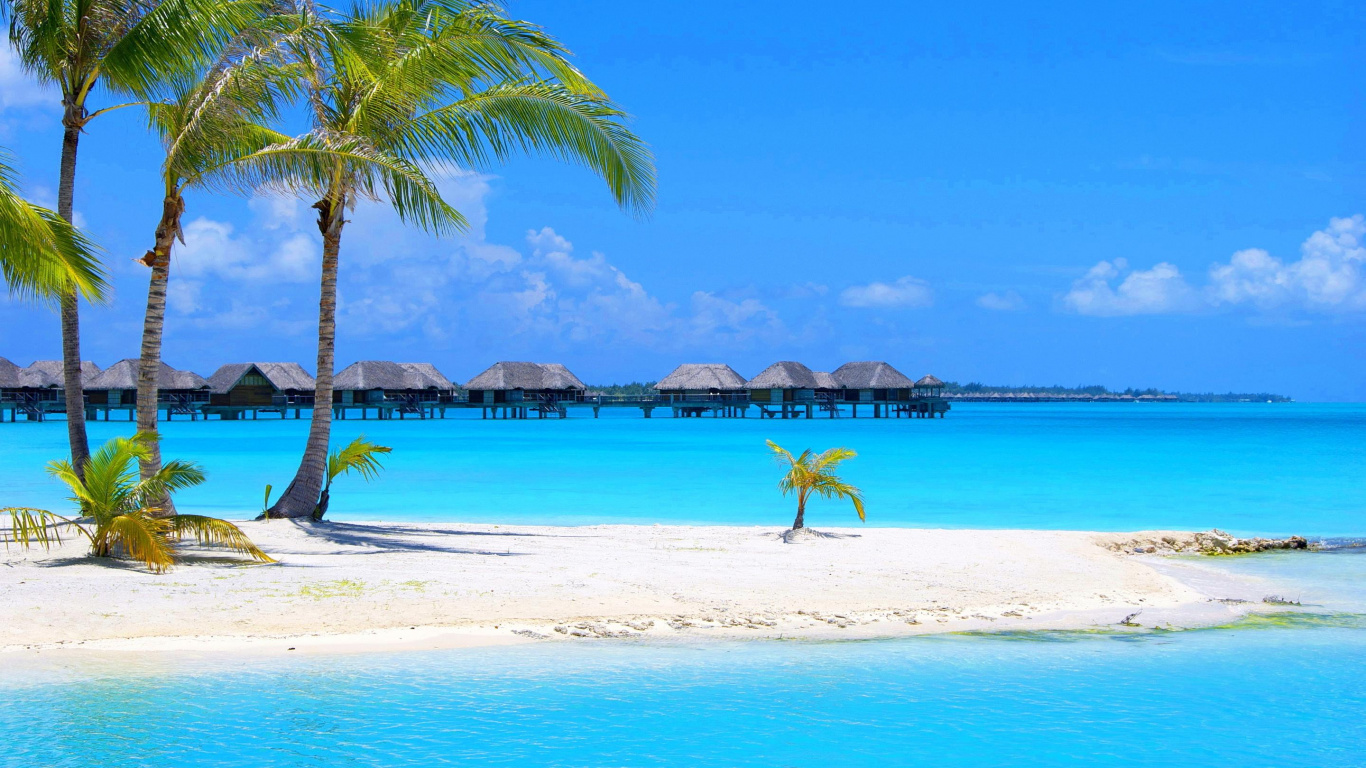 Leute am Strand Tagsüber. Wallpaper in 1366x768 Resolution