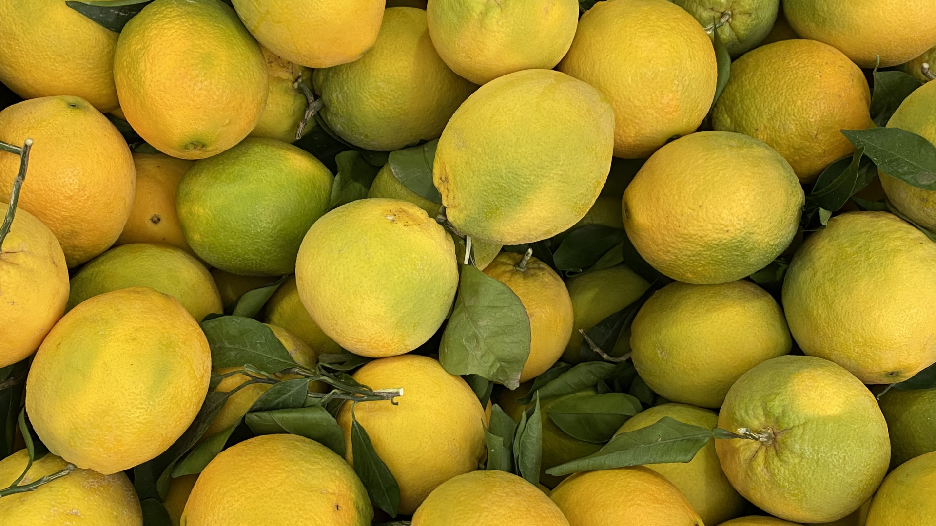 Natural Foods, Clementine, Persian Lime, Grapefruit, Key Lime. Wallpaper in 1920x1080 Resolution