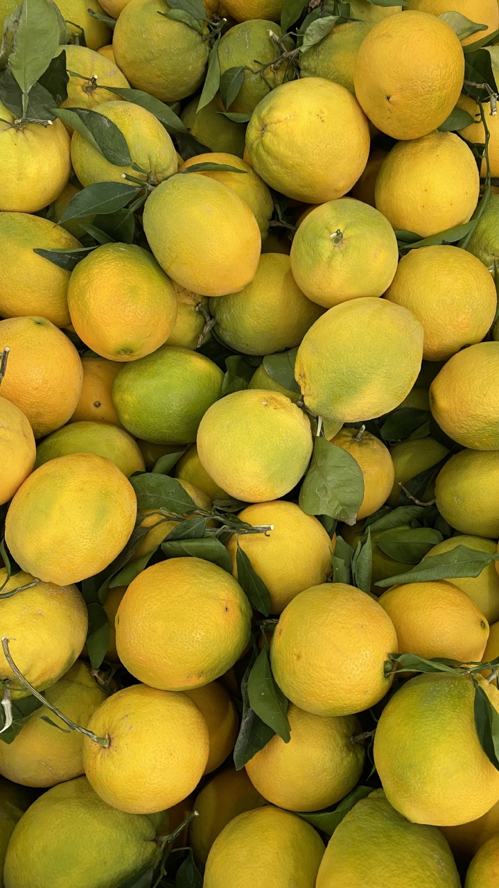 Natural Foods, Clementine, Persian Lime, Grapefruit, Key Lime. Wallpaper in 720x1280 Resolution