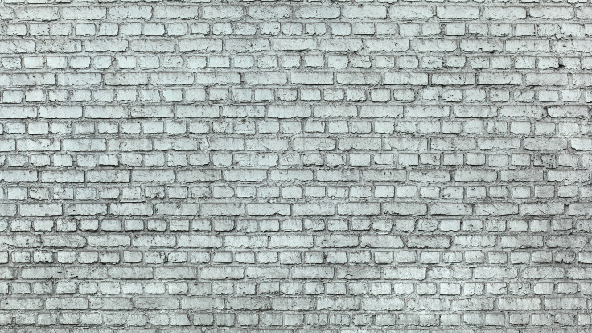 Mur de Briques Blanches et Noires. Wallpaper in 1920x1080 Resolution