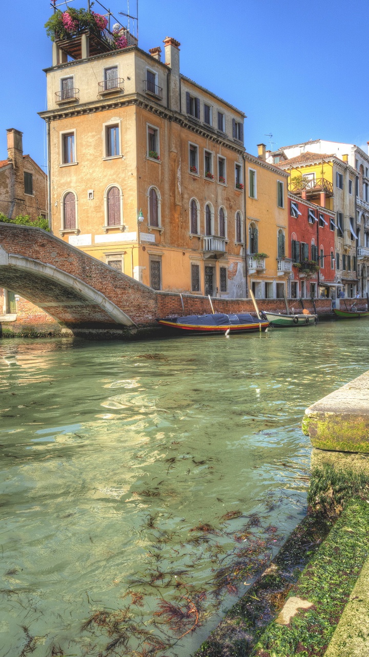 Brown Concrete Bridge Over River Between Buildings During Daytime. Wallpaper in 720x1280 Resolution