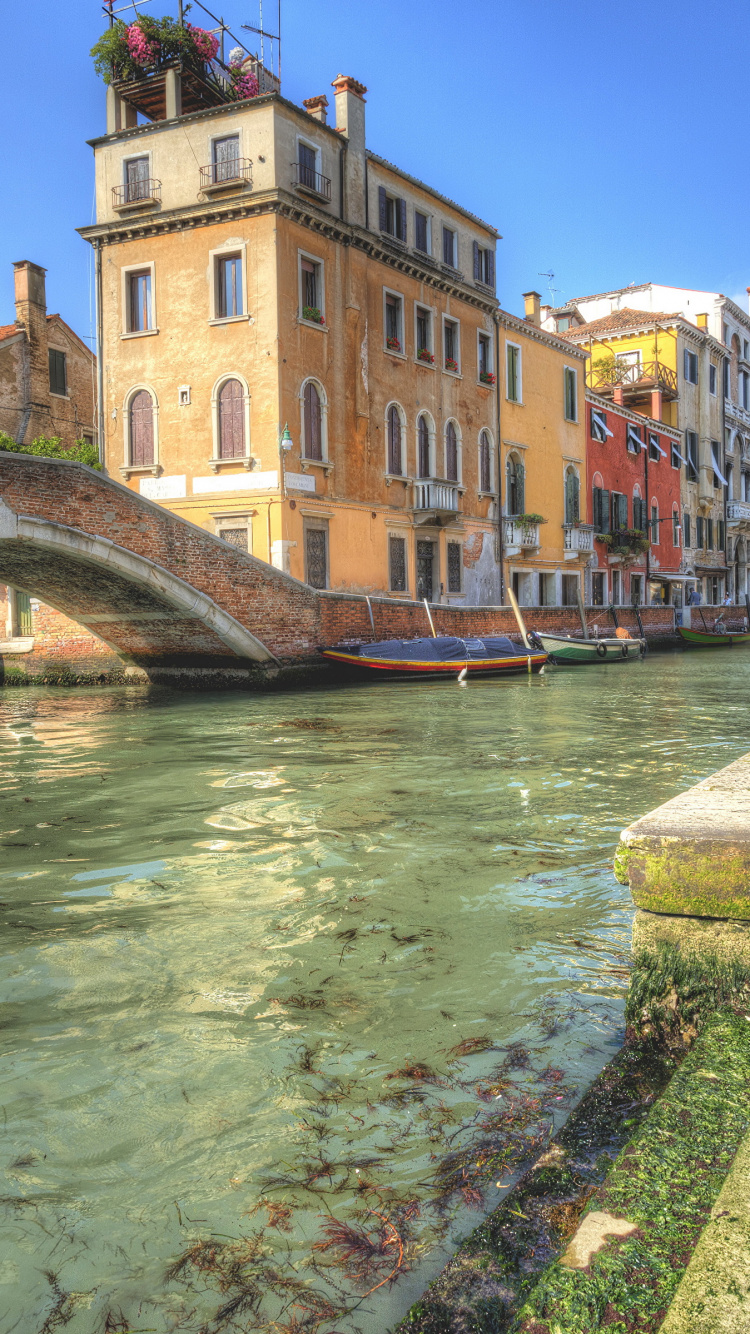 Brown Concrete Bridge Over River Between Buildings During Daytime. Wallpaper in 750x1334 Resolution