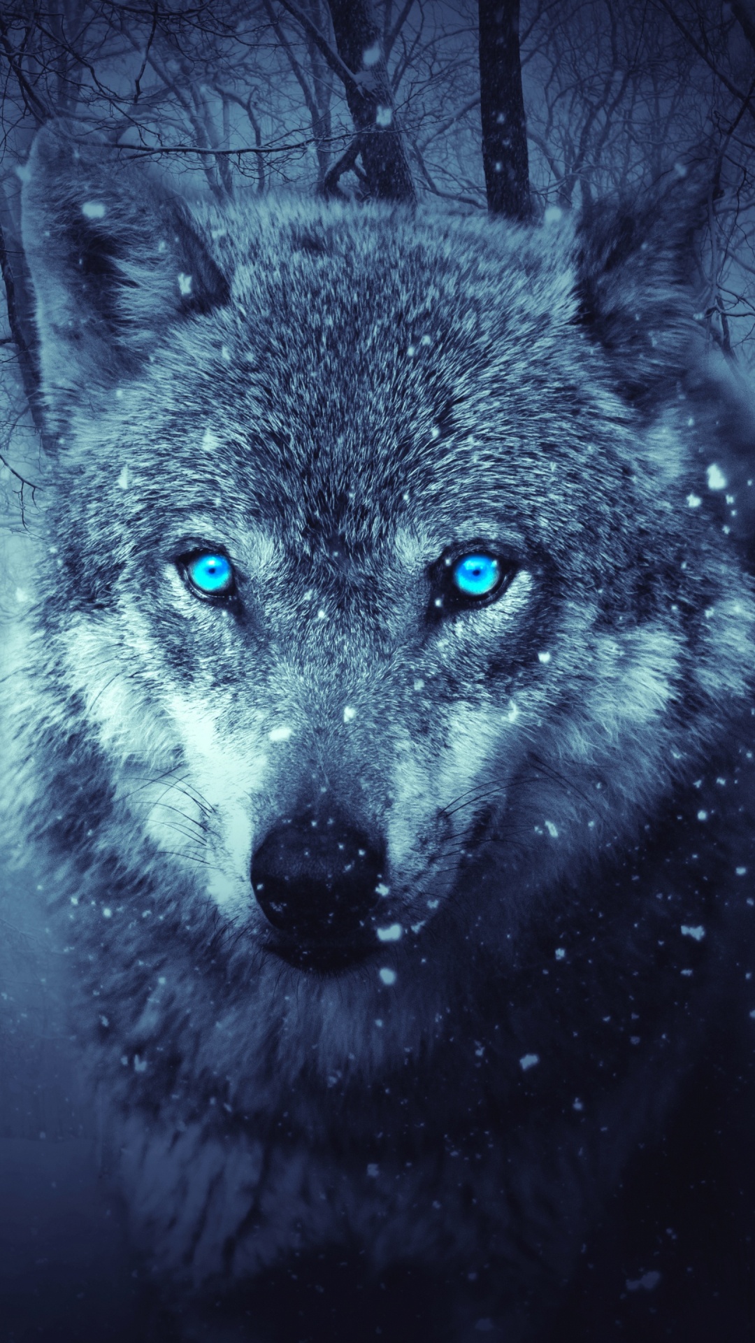 Grauer Wolf im Wald. Wallpaper in 1080x1920 Resolution