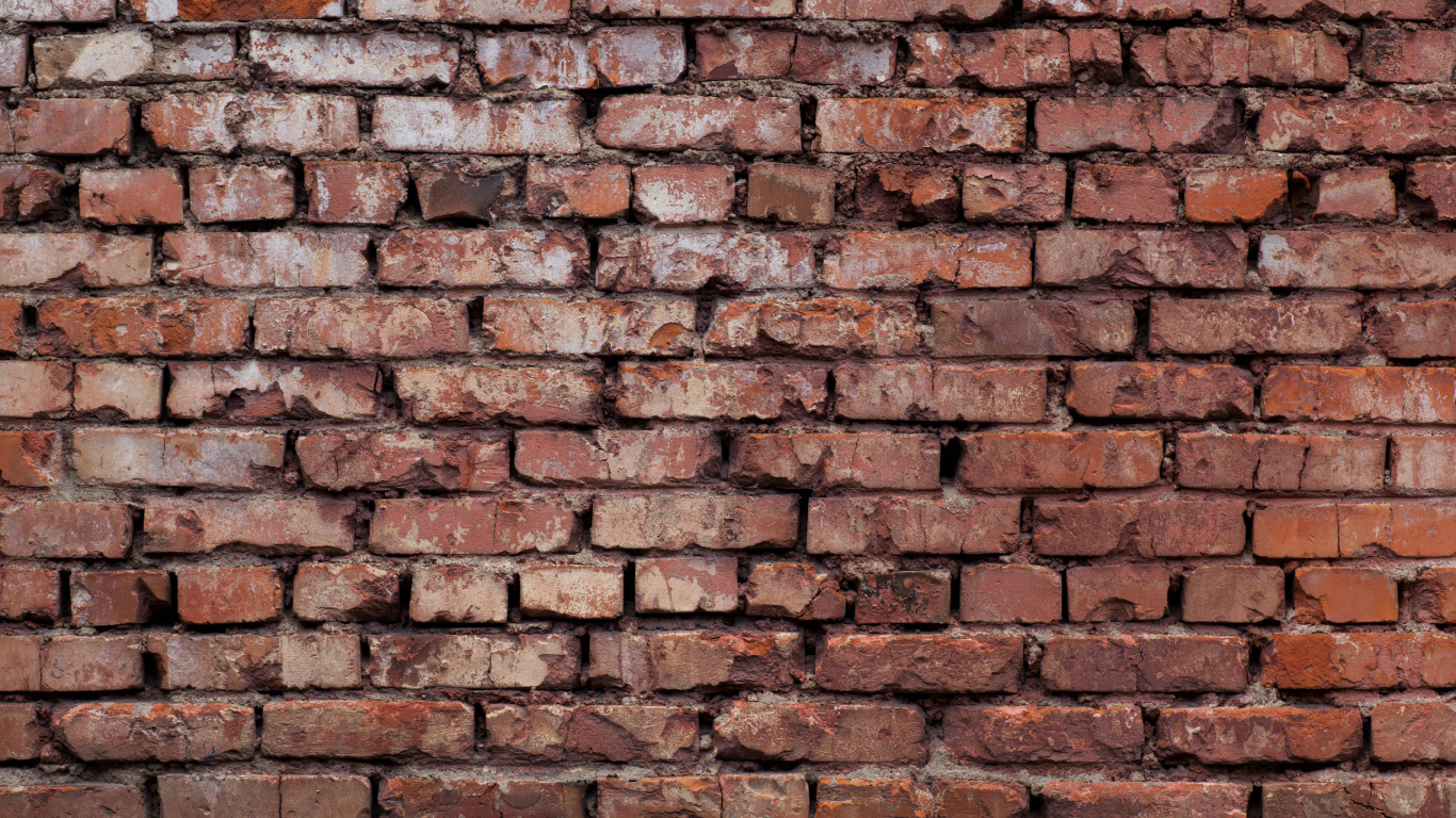 Mur de Briques Brunes et Noires. Wallpaper in 1366x768 Resolution