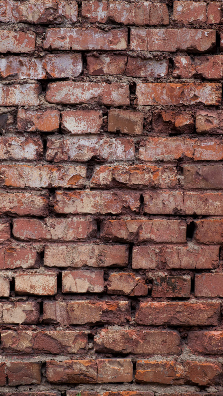 Mur de Briques Brunes et Noires. Wallpaper in 750x1334 Resolution