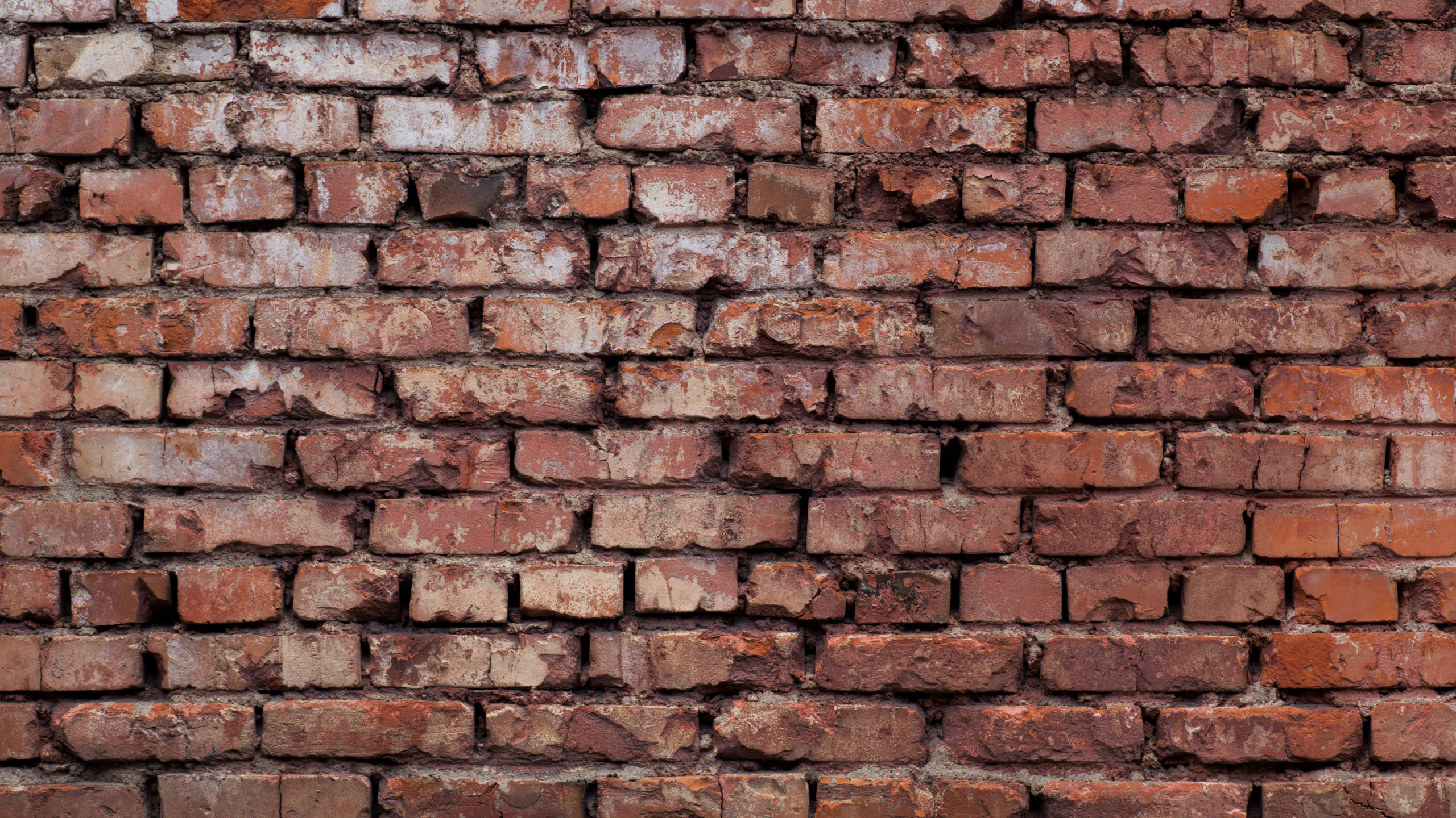 Brown and Black Brick Wall. Wallpaper in 2560x1440 Resolution