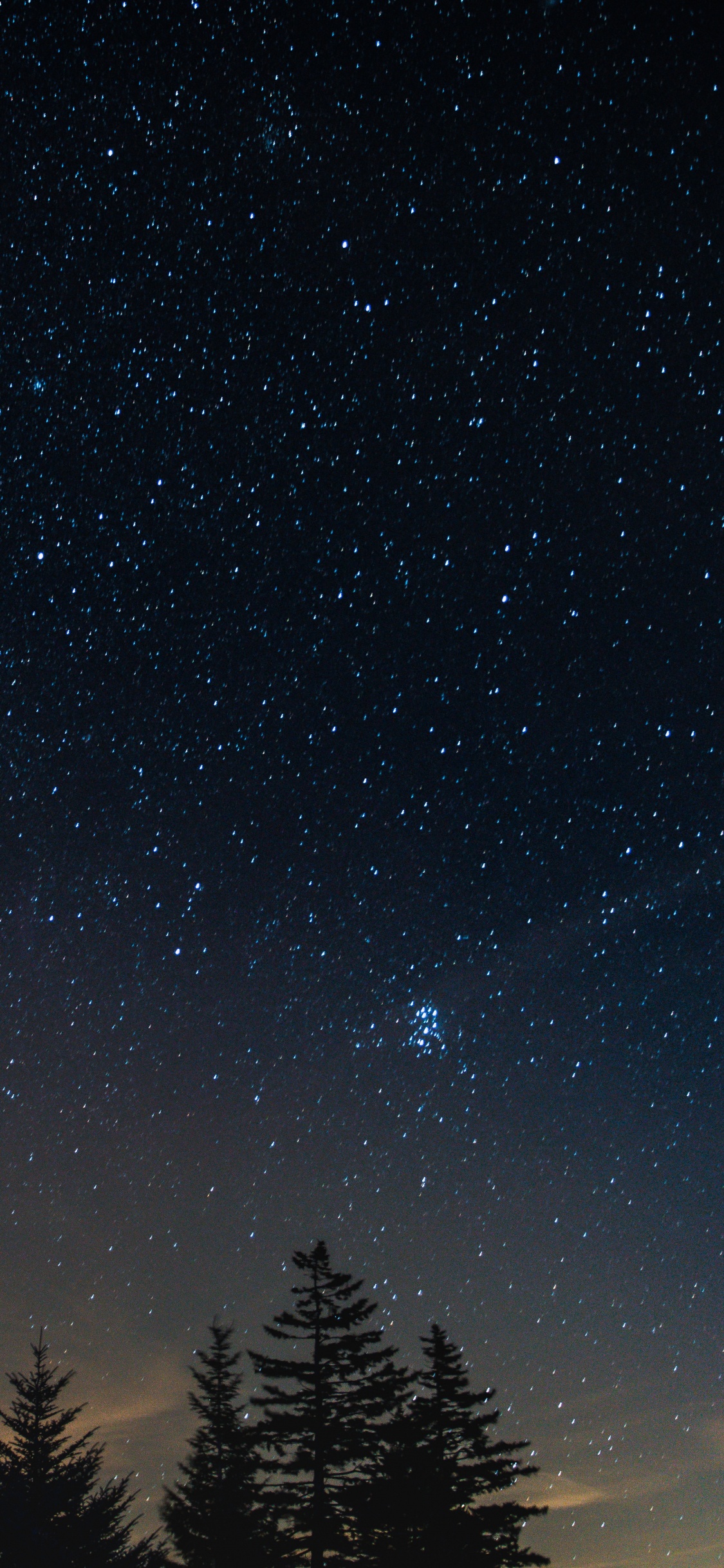 Silhouette Von Bäumen Unter Blauem Himmel Während Der Nacht. Wallpaper in 1125x2436 Resolution