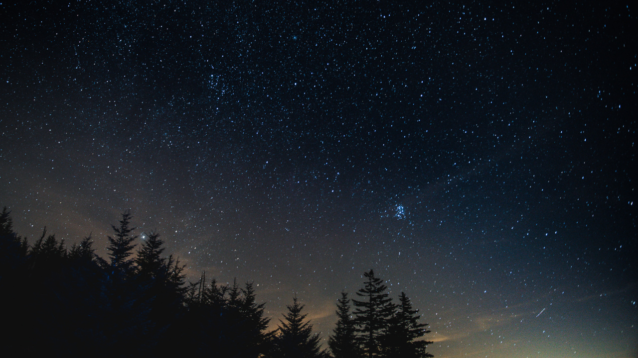 Silhouette Von Bäumen Unter Blauem Himmel Während Der Nacht. Wallpaper in 1280x720 Resolution