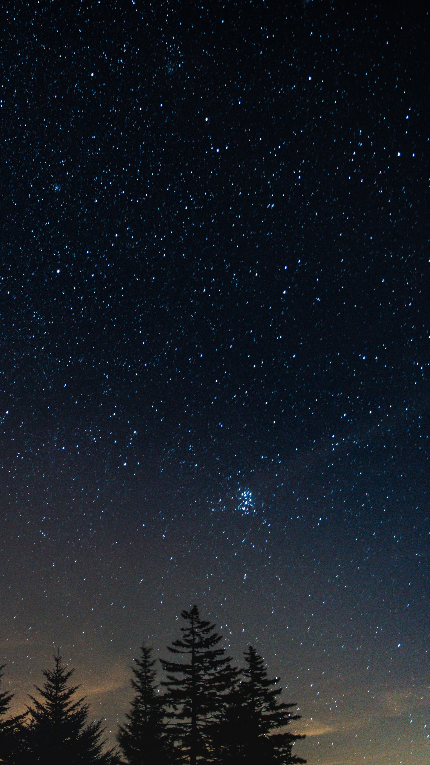 Silhouette of Trees Under Blue Sky During Night Time. Wallpaper in 1440x2560 Resolution