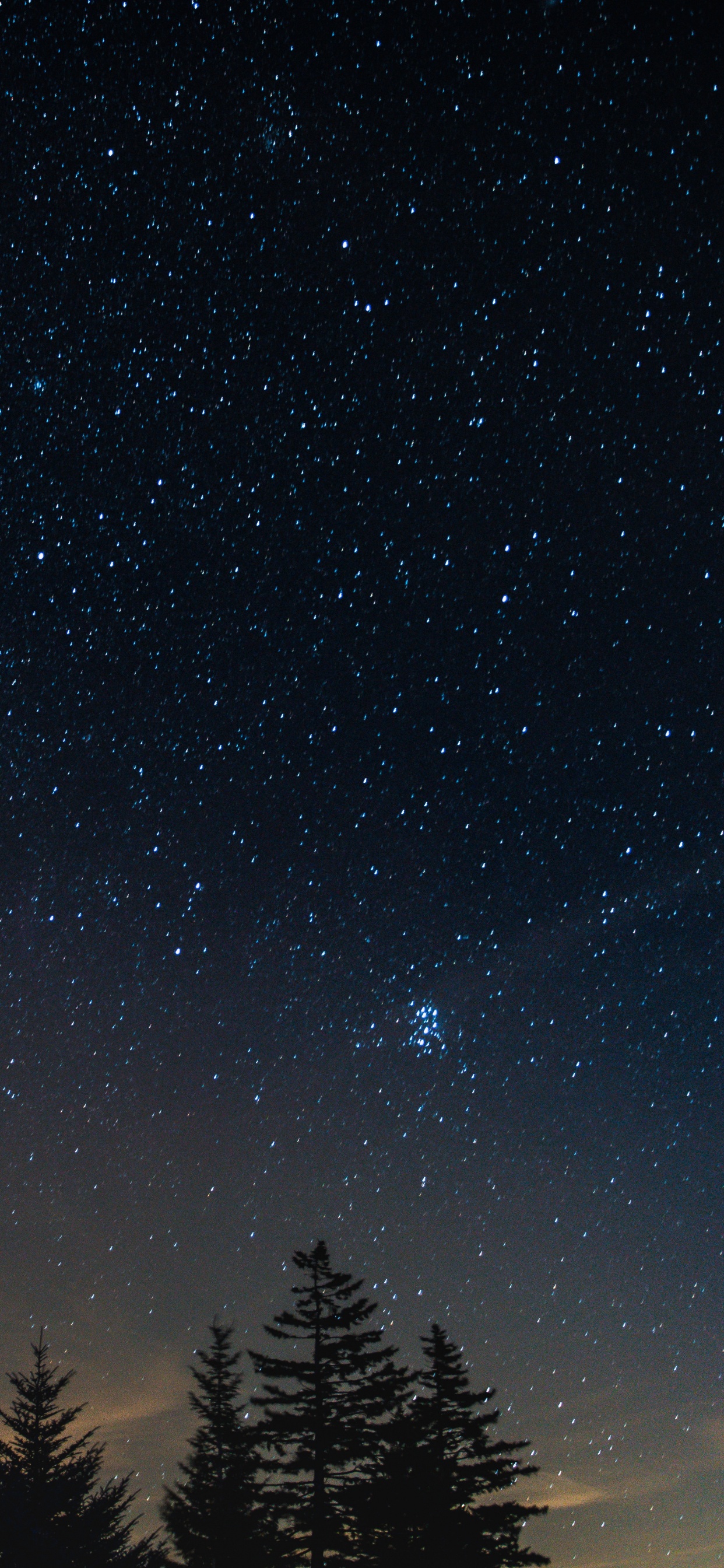 Silhouette D'arbres Sous Ciel Bleu Pendant la Nuit. Wallpaper in 1242x2688 Resolution