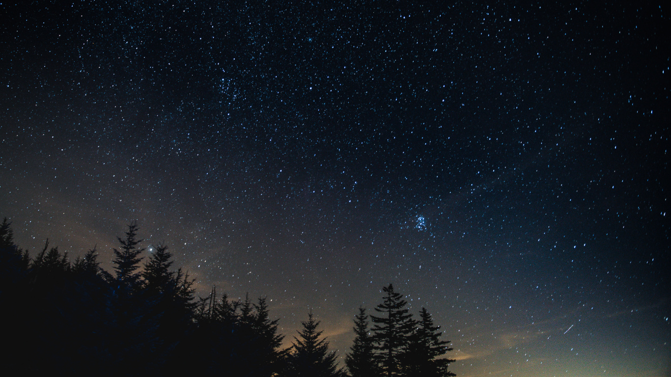 Silhouette D'arbres Sous Ciel Bleu Pendant la Nuit. Wallpaper in 1366x768 Resolution