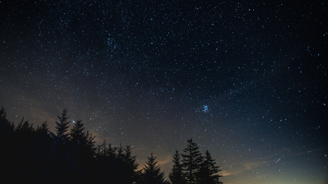 Silueta de Árboles Bajo un Cielo Azul Durante la Noche. Wallpaper in 1280x720 Resolution