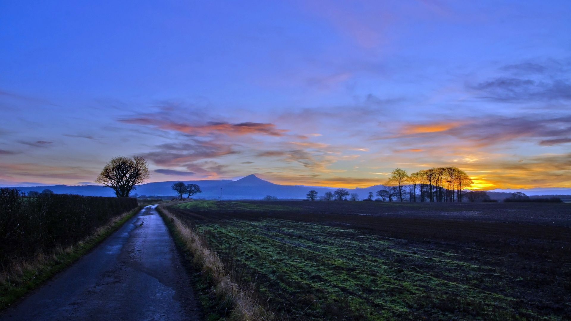 Green Grass Field During Sunset. Wallpaper in 1920x1080 Resolution